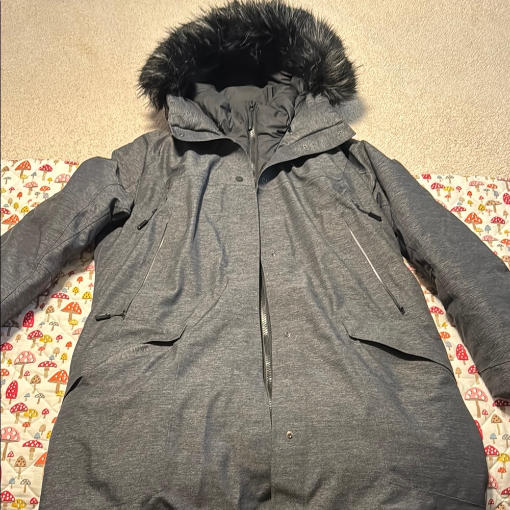 THE NORTH FACE CRYOS
EXPEDITION GTX GORETEX
800 Down GREY PARKA
WOMENS XL $800